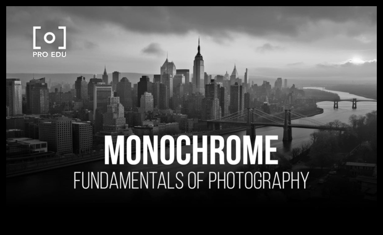 מצבי מונוכרום: טכניקות ליצירת צילומי שחור ולבן טעונים רגשית