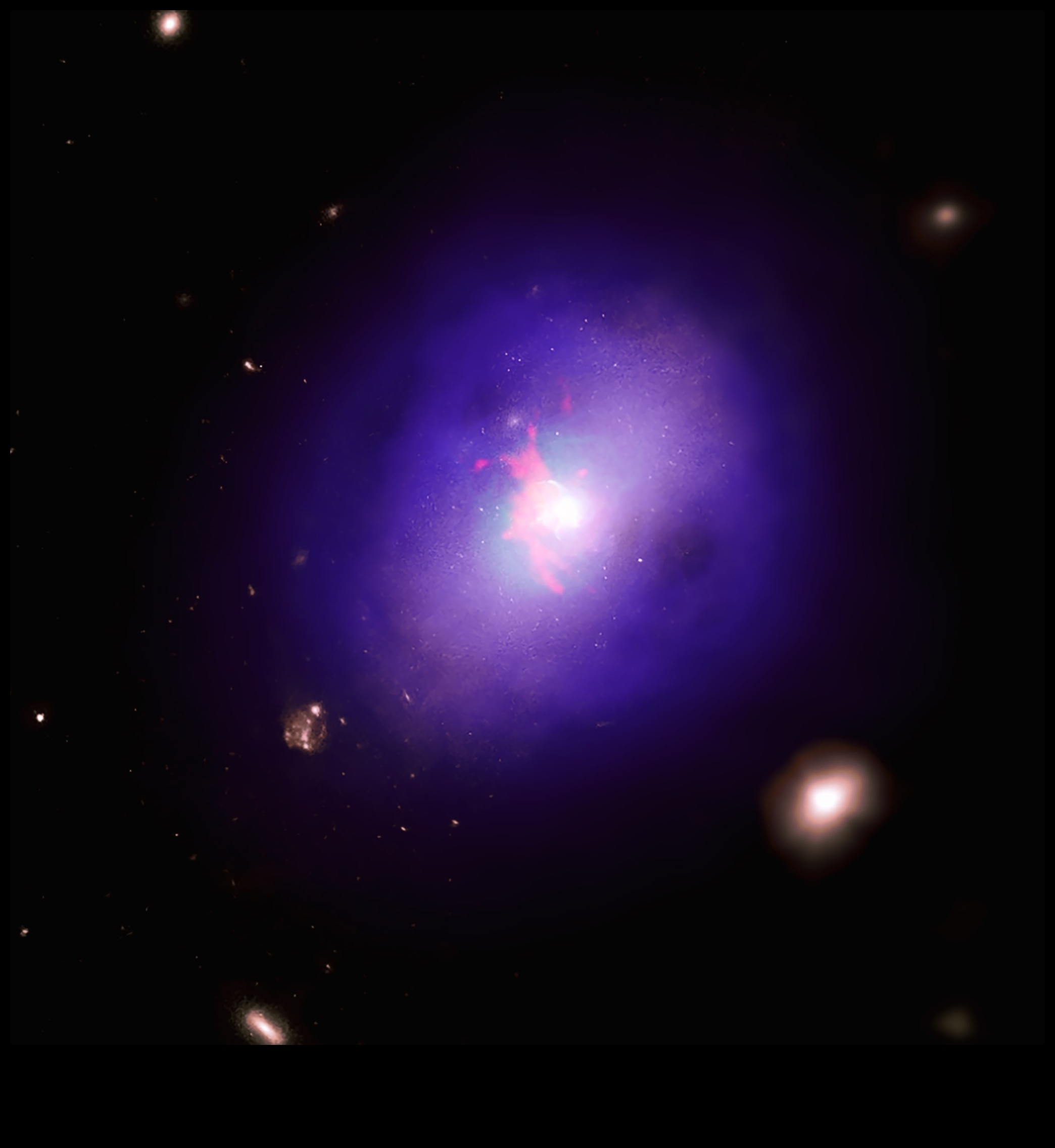 דיילים שמימיים: האפוטרופסות של נאס