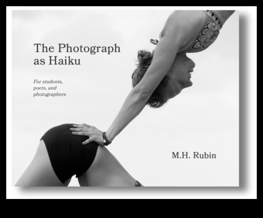 שירה ציורית: יצירת הייקוס חזותי בצילום