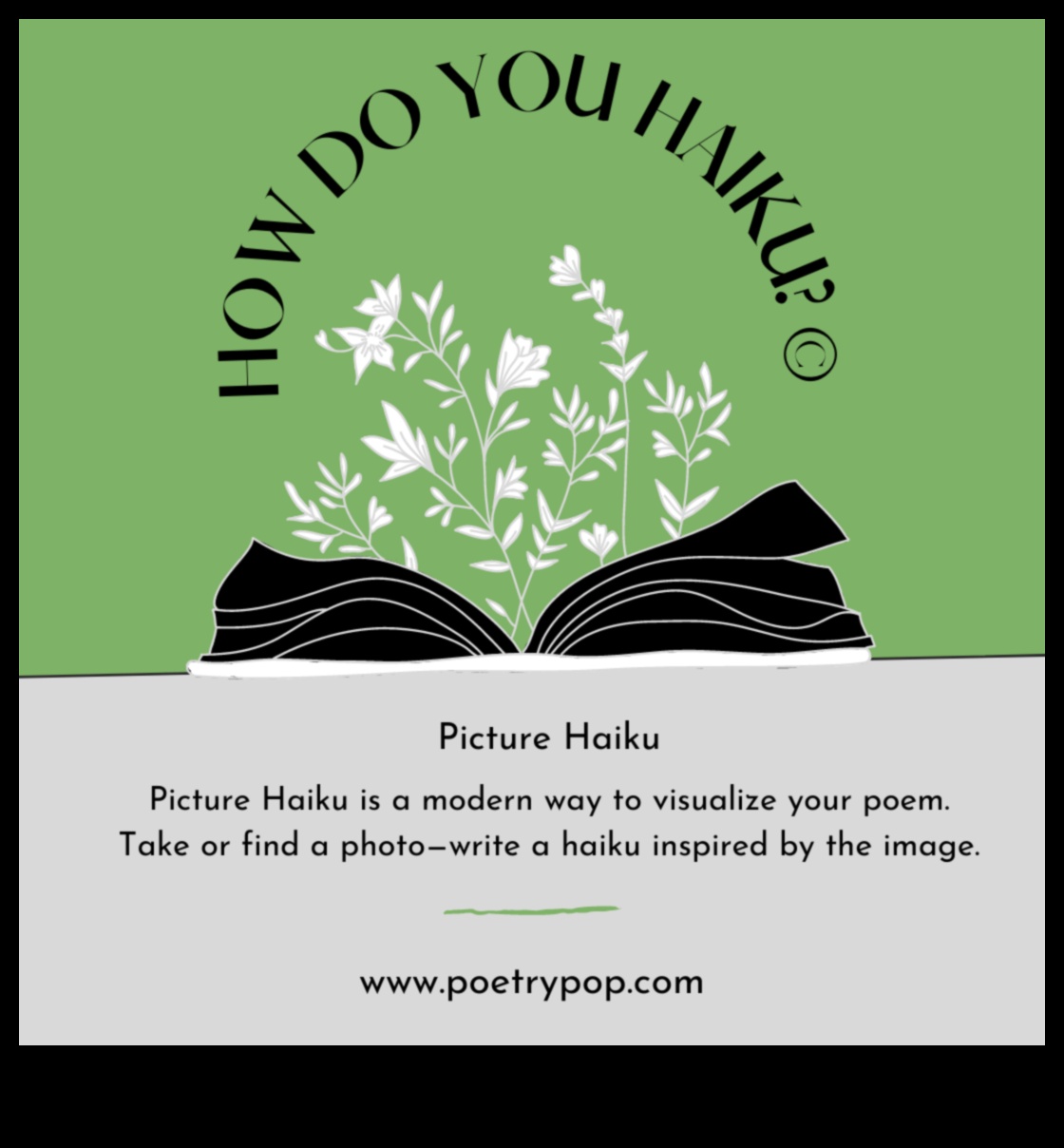 שירה ציורית: יצירת הייקוס חזותי בצילום