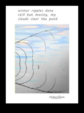 שירה ציורית: יצירת הייקוס חזותי בצילום