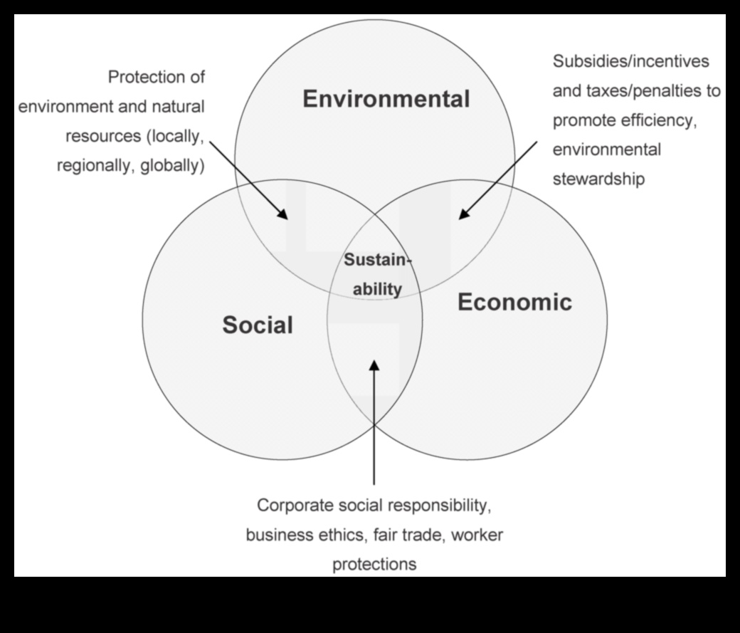 קיימות ממוקדת משתמש: יצירת חוויות מהפכניות עם התקדמות ידידותית לסביבה