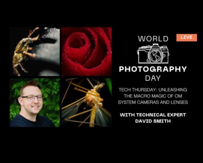 מאקרו קסם: מצלמות ללכידת פרטים זעירים