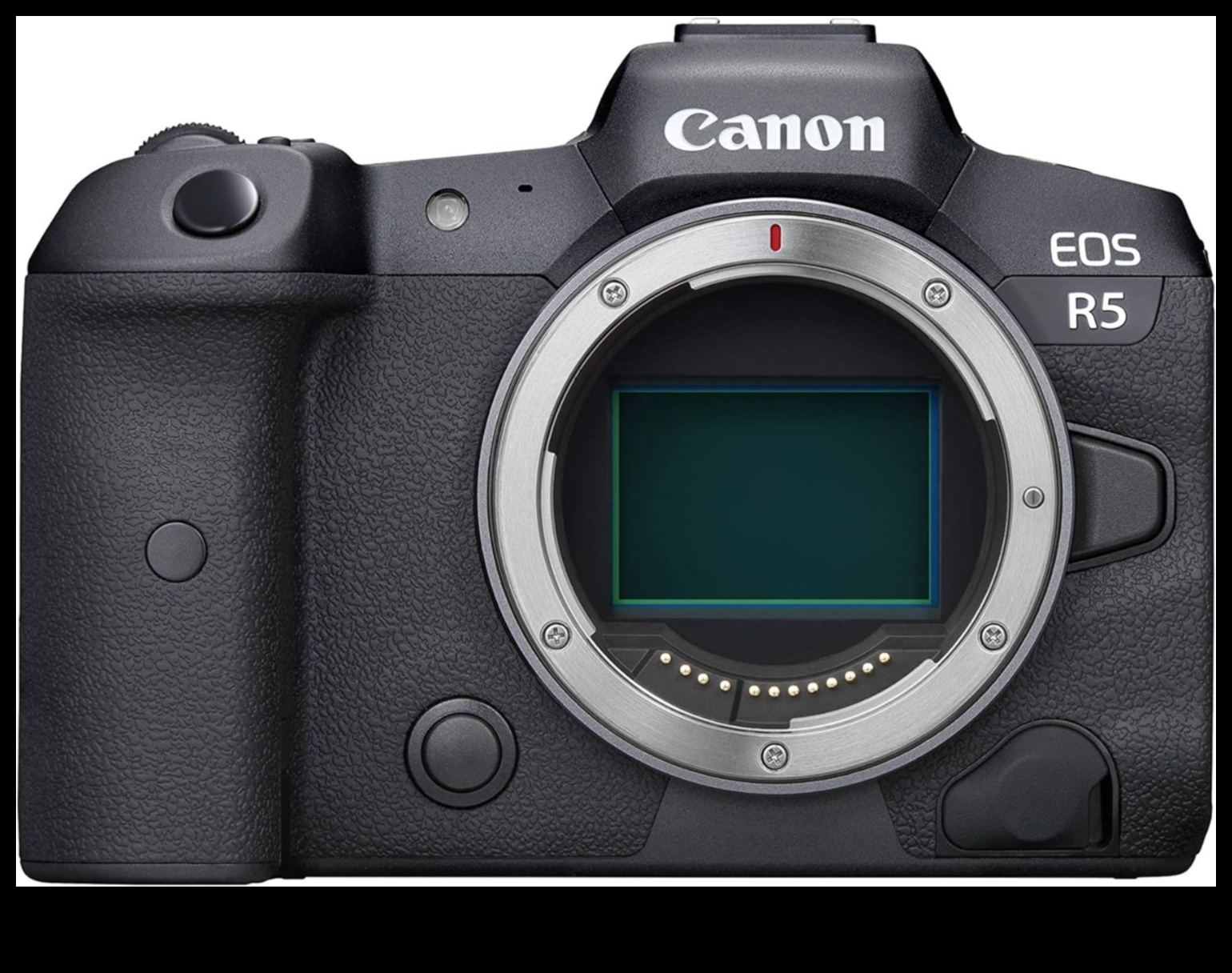 Snapshot Wonders: המצלמות האחרונות והטובות ביותר של 2024