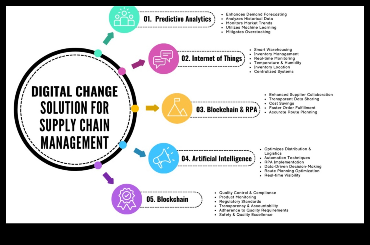 הרמוניית נתונים: איזון בין חזון אמנותי ודיוק טכני בטרנספורמציה