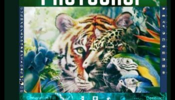 Pixel Wizardry: שחרור יצירתיות עם Adobe Photoshop