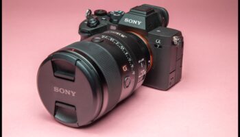 Snapshot Wonders: המצלמות האחרונות והטובות ביותר של 2024