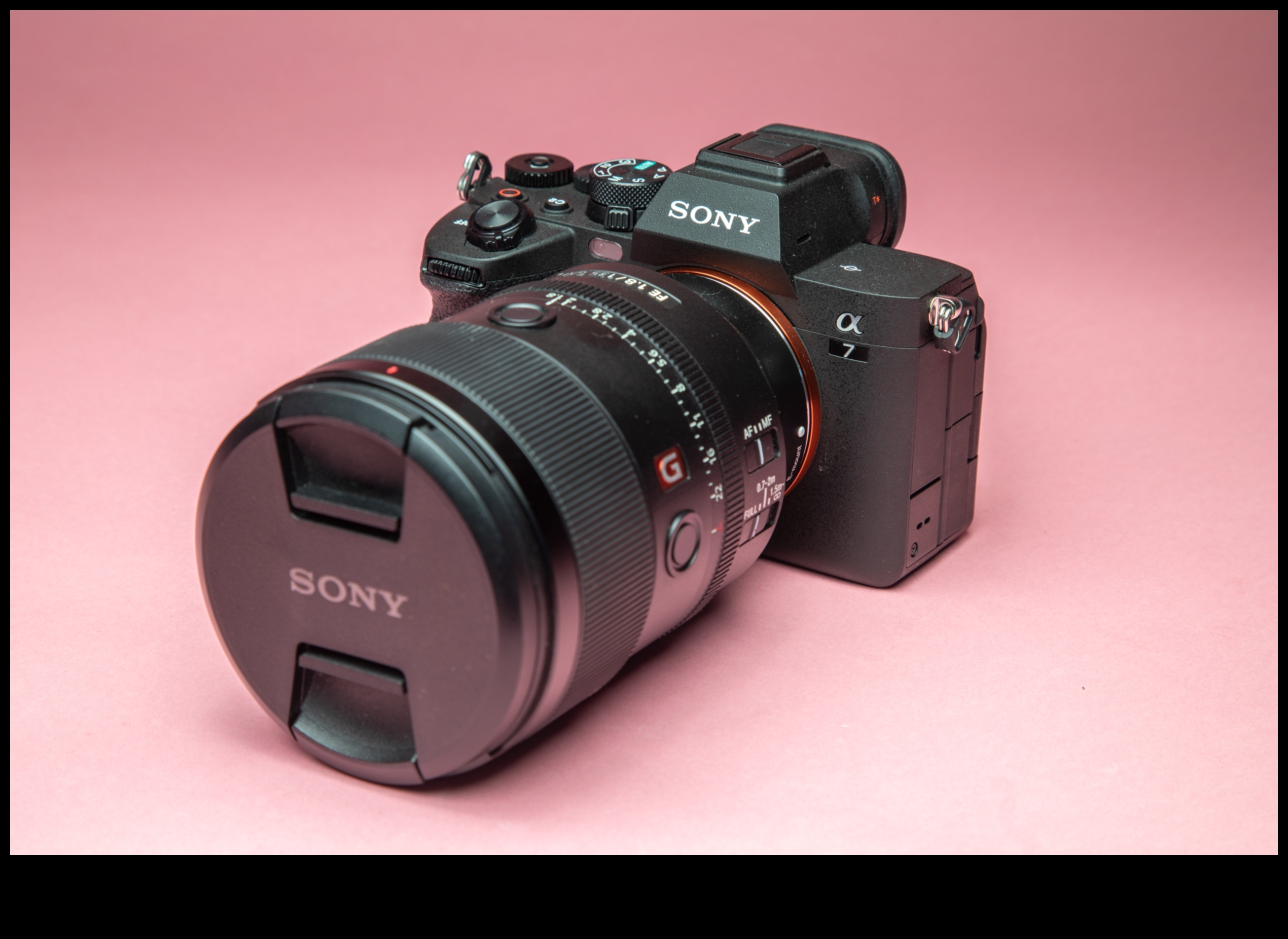 Snapshot Wonders: המצלמות האחרונות והטובות ביותר של 2024