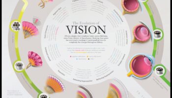 אבולוציה חזותית: העלאת החזון שלך באמצעות שיפור תמונה יצירתי