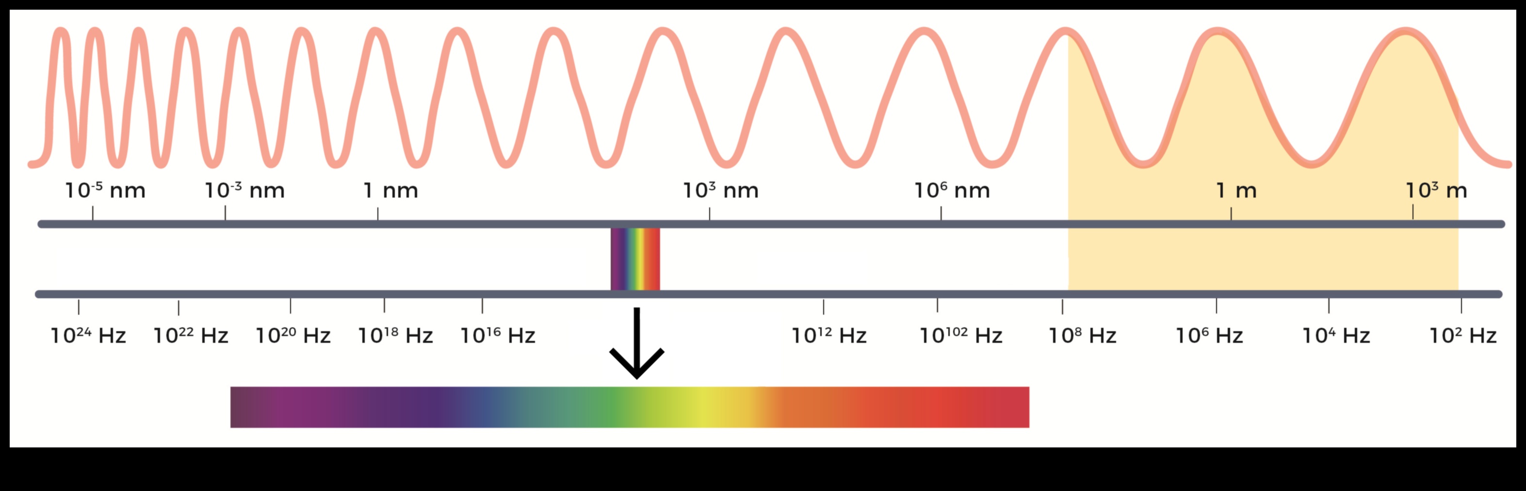 גלים קורנים: ניווט בספקטרום של טכנולוגיות אלחוטיות