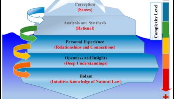 הרמוניית נתונים: איזון בין חזון אמנותי ודיוק טכני בטרנספורמציה