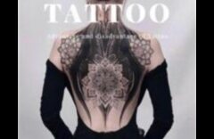 פלטת הדיוק: שליטה בסיפורי קעקועים מתקדמים