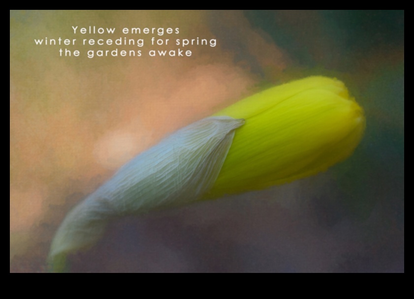 שירה ציורית: יצירת הייקוס חזותי בצילום